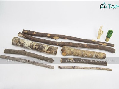 Khúc củi khô trang trí ngẫu nhiên W-CUI-06